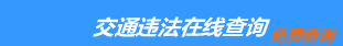 （手机版）许昌交通违章查询-许昌违章查询网