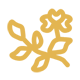 本草纲目_本草纲目辞典-本草纲目词典网