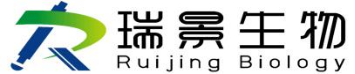 瑞景生物科技（南京）有限公司 - 专注进口实验仪器和科研设备！