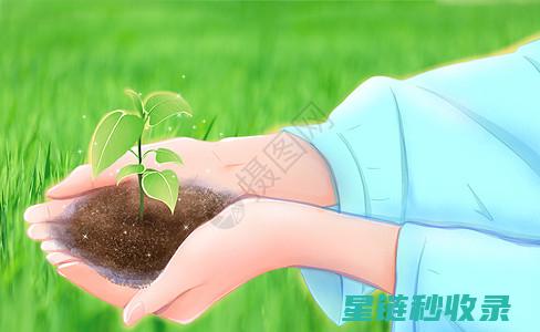 细致呵护家的每一处——开关面板的深度清洁指南 (细致呵护家的成语)