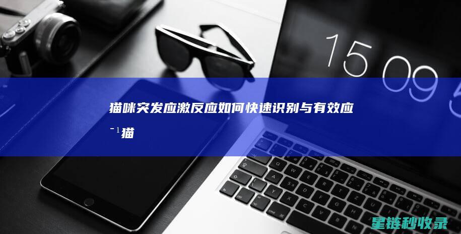 猫咪突发应激反应如何识别与有效应对猫