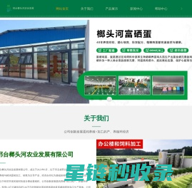 邢台榔头河农业-生态养殖富硒鸡蛋_赋能乡村振兴