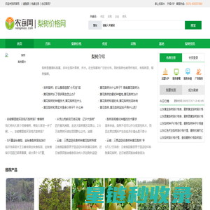 梨树种植_黄花梨树_梨树价格-农苗网