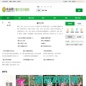 蟹爪兰的养殖方法和注意事项_蟹爪兰价格_蟹爪兰图片-农苗网